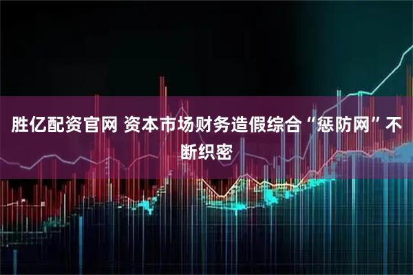胜亿配资官网 资本市场财务造假综合“惩防网”不断织密