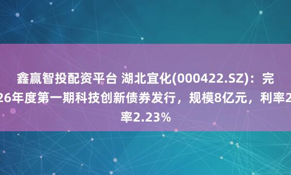 鑫赢智投配资平台 湖北宜化(000422.SZ)：完成2026年度第一期科技创新债券发行，规模8亿元，利率2.23%