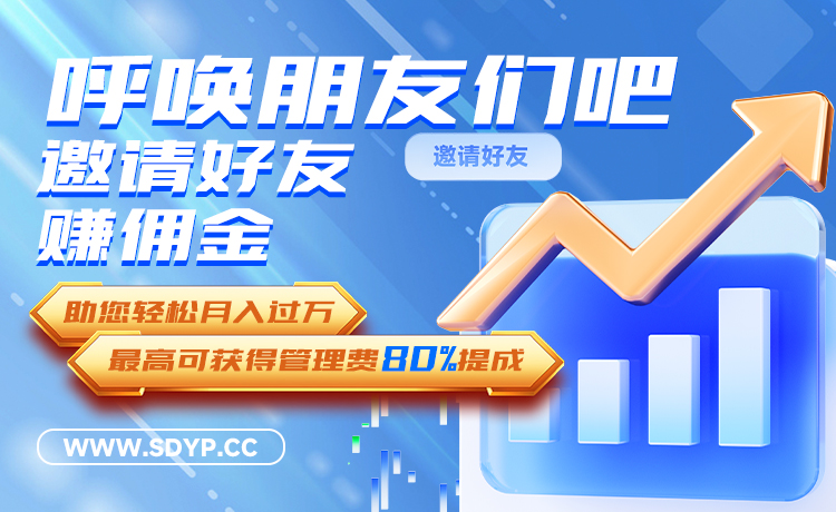 松特配资网
